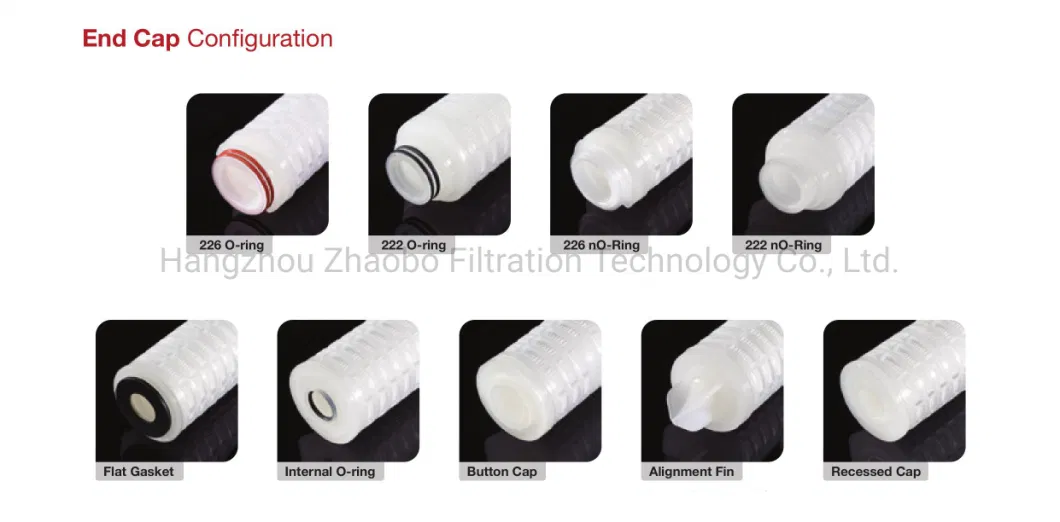 High Precision Pleated Micron Hydrophilic Pes Filter Cartridge with Insert SS304 for Pharmaceutical Ink Wine Purification Water Filter Air Filter EPDM Silicone